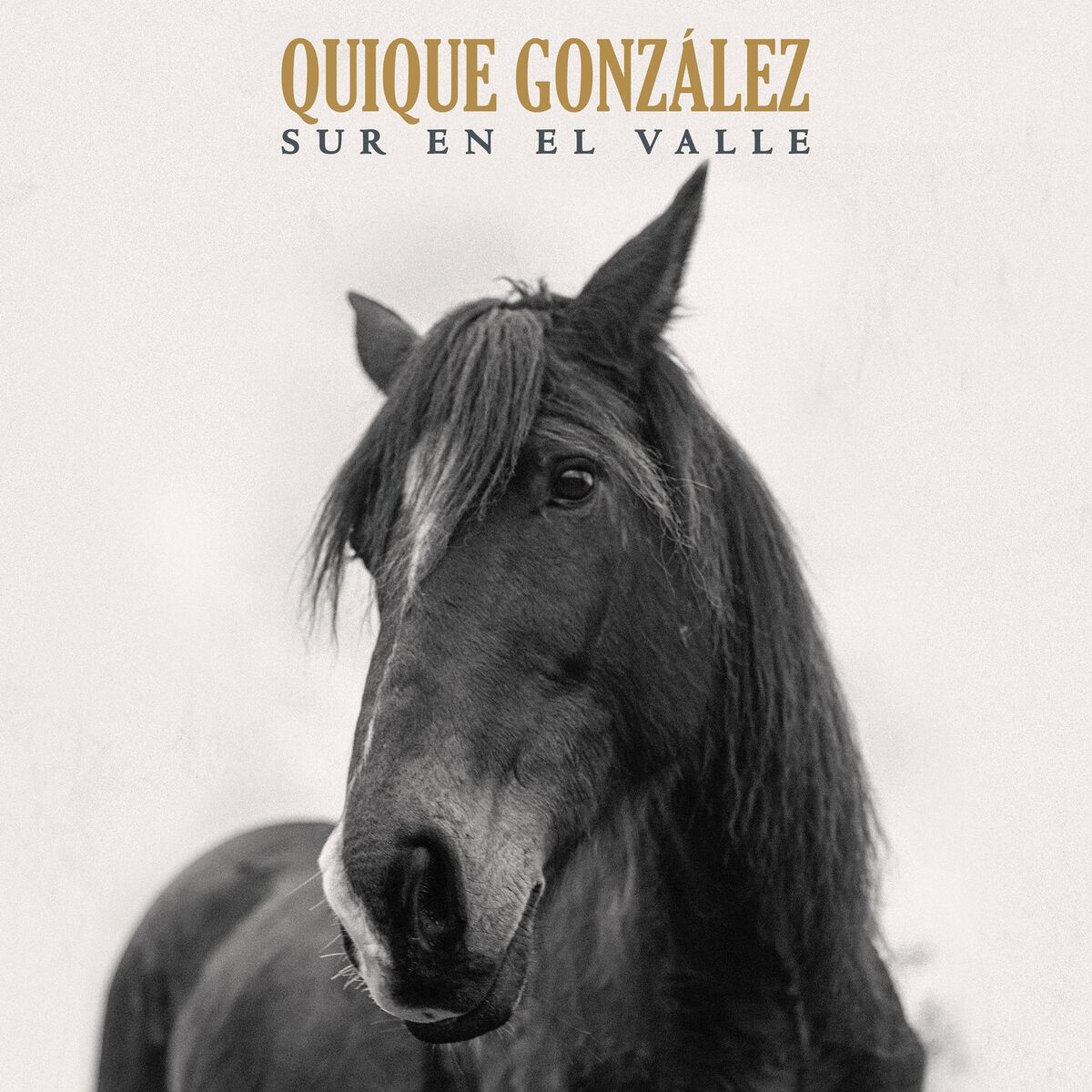Album cover of Sur en el Valle