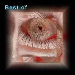 Cover of Best Of