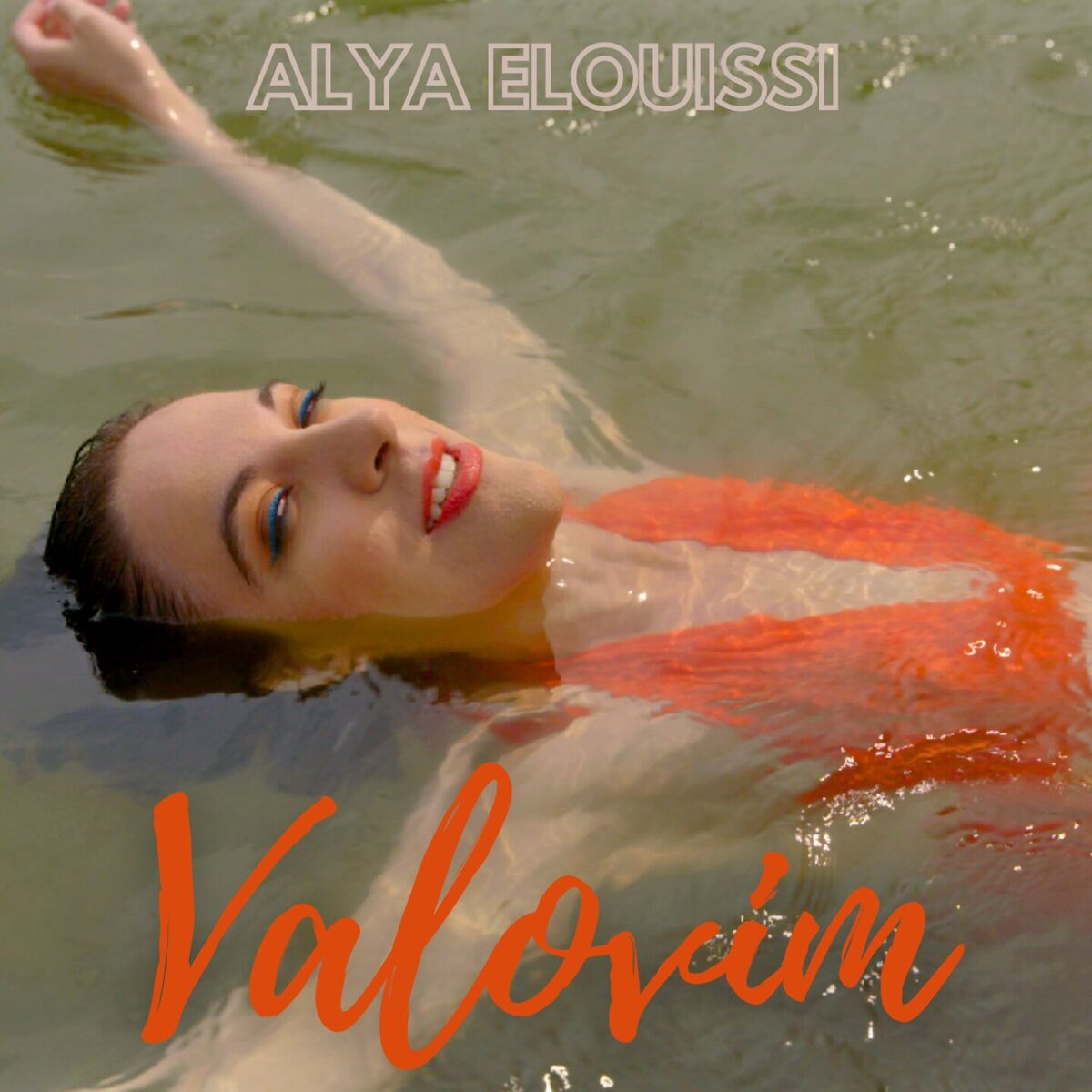 Album cover of Valovim