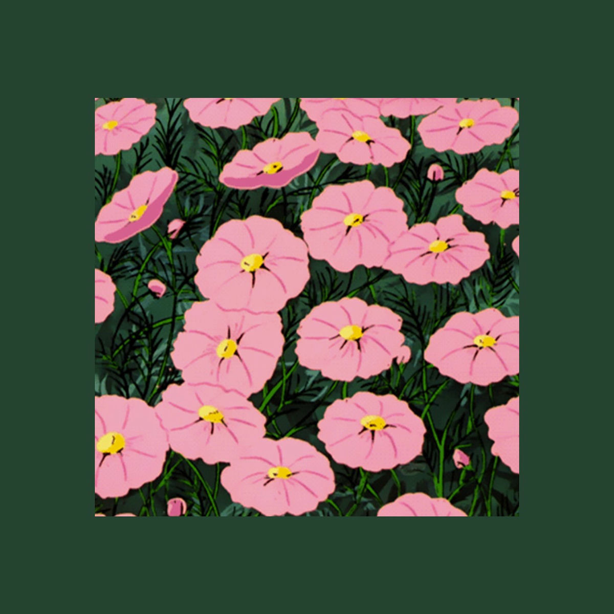 Album cover of Lavanda