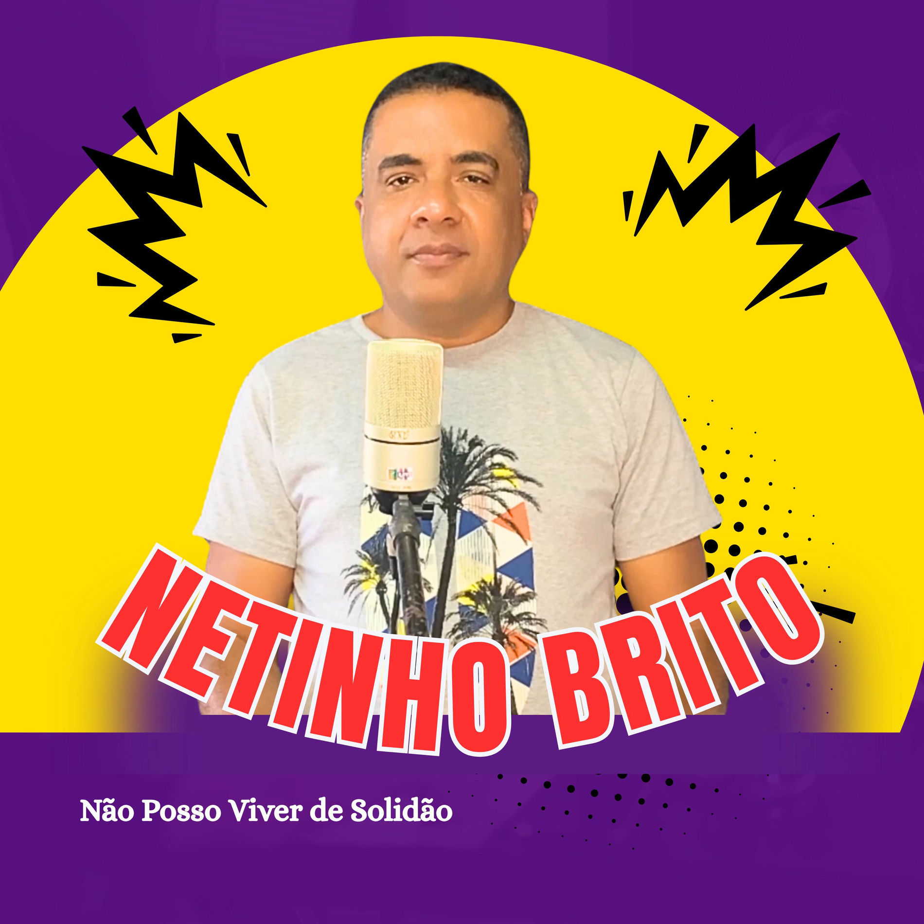 Album cover of Não Posso Viver de Solidão