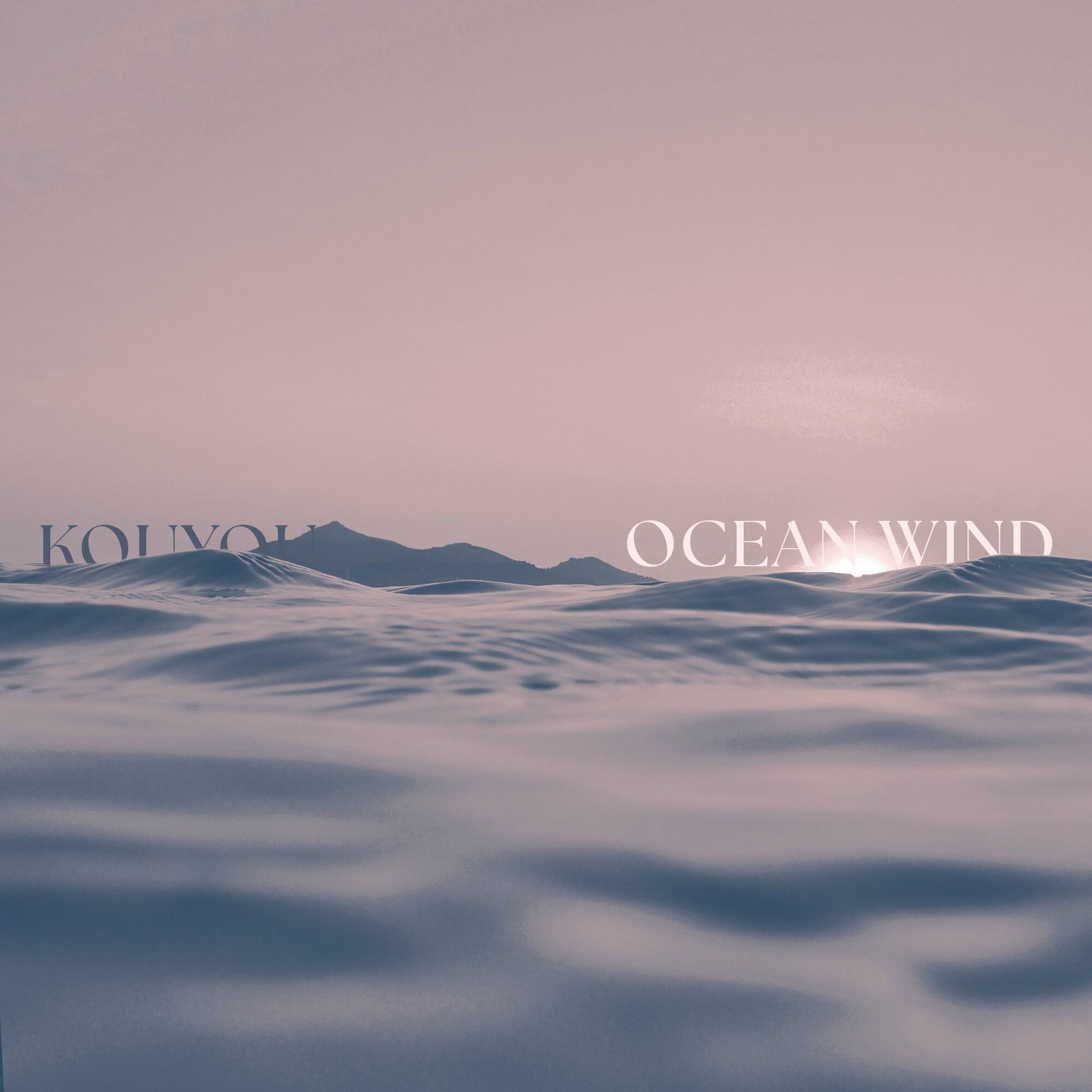 Album cover of Ocean Wind