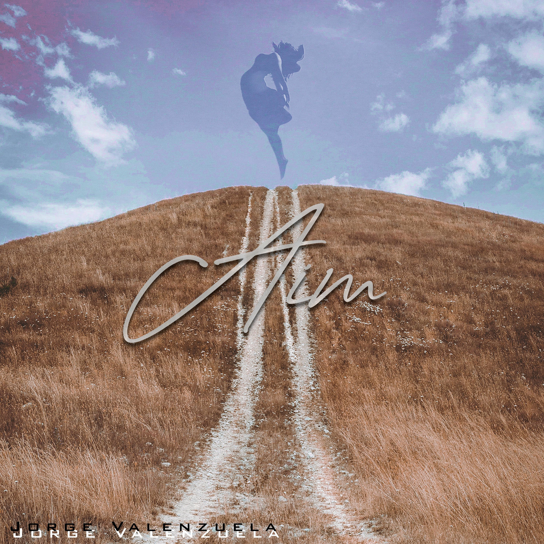 Album cover of Aim