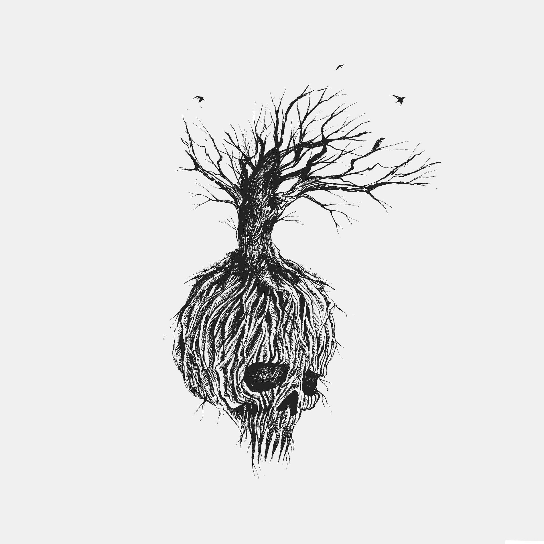 Album cover of The Pear Tree