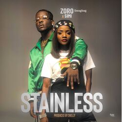 Cover of Stainless