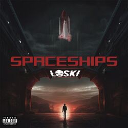 Cover of Spaceships