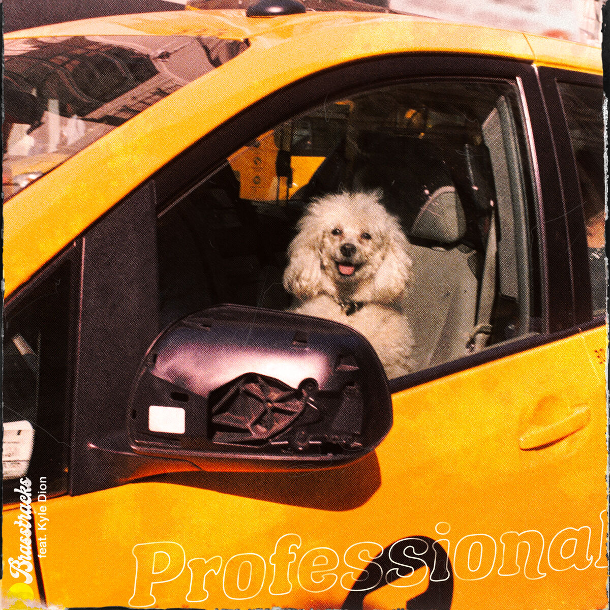 Album cover of Professional