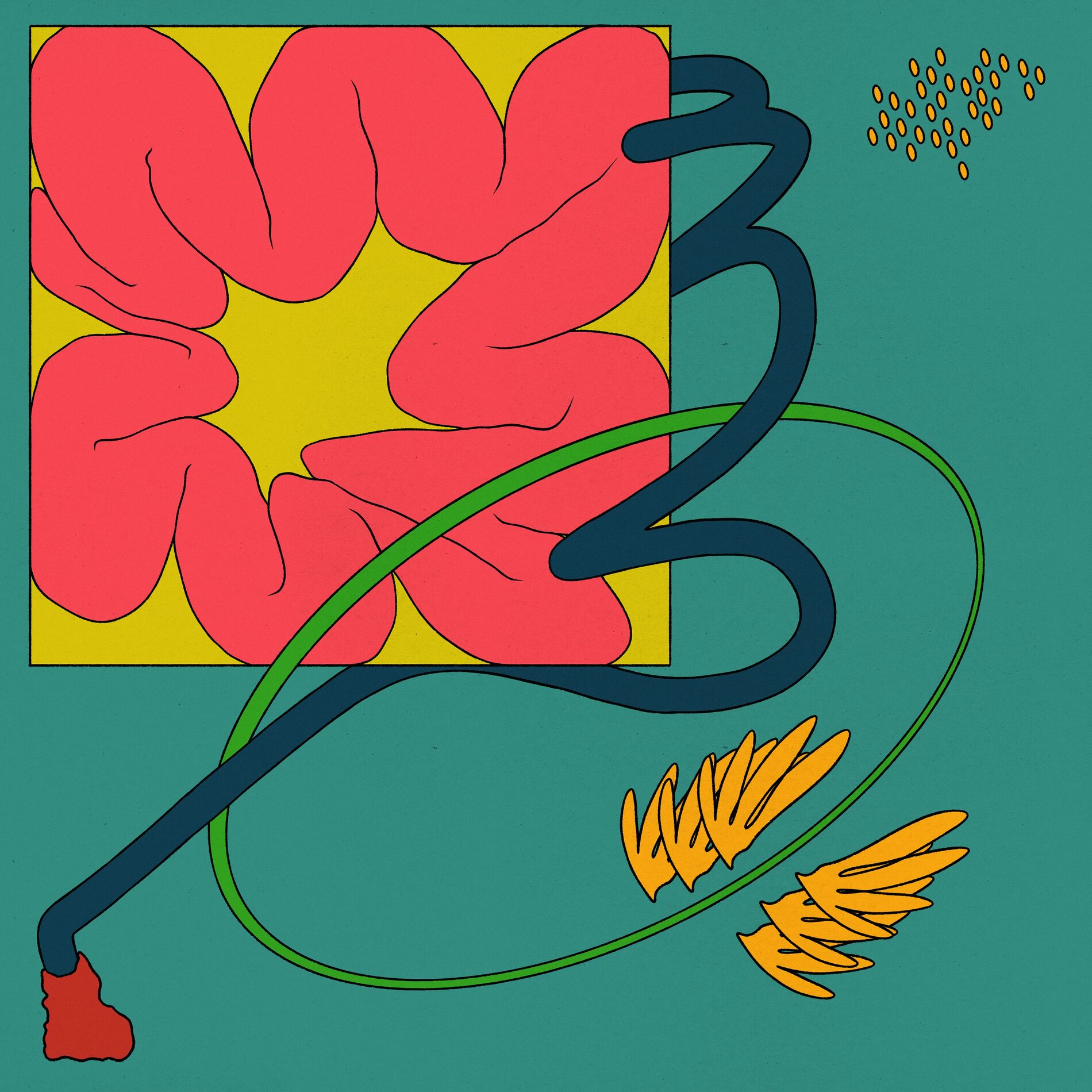 Album cover of Club Moss