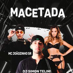 Cover of Macetada