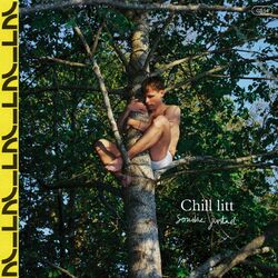 Cover of Chill litt