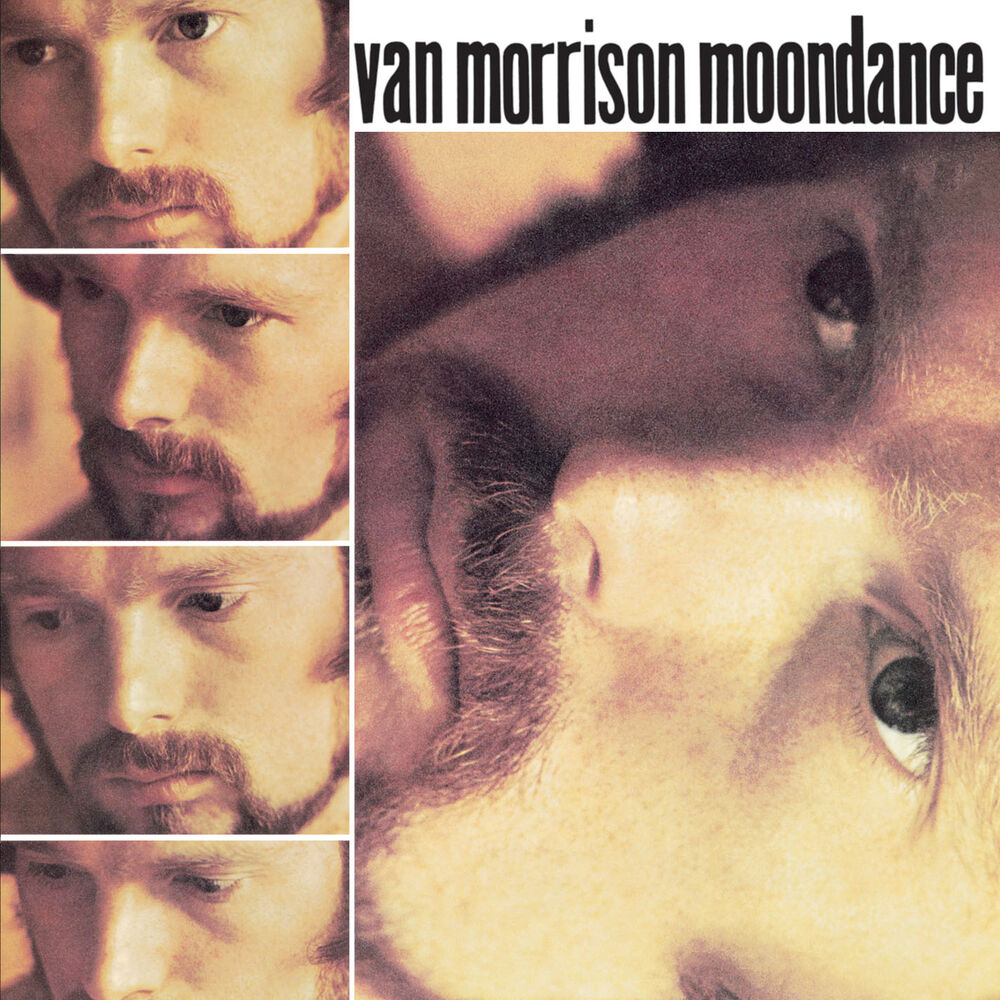 Picture of Moondance