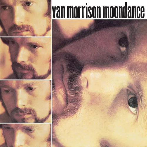 Moondance — cover art