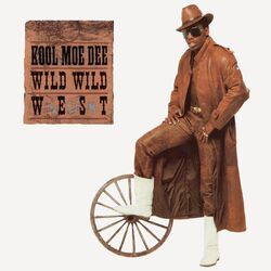 Cover of Wild, Wild West