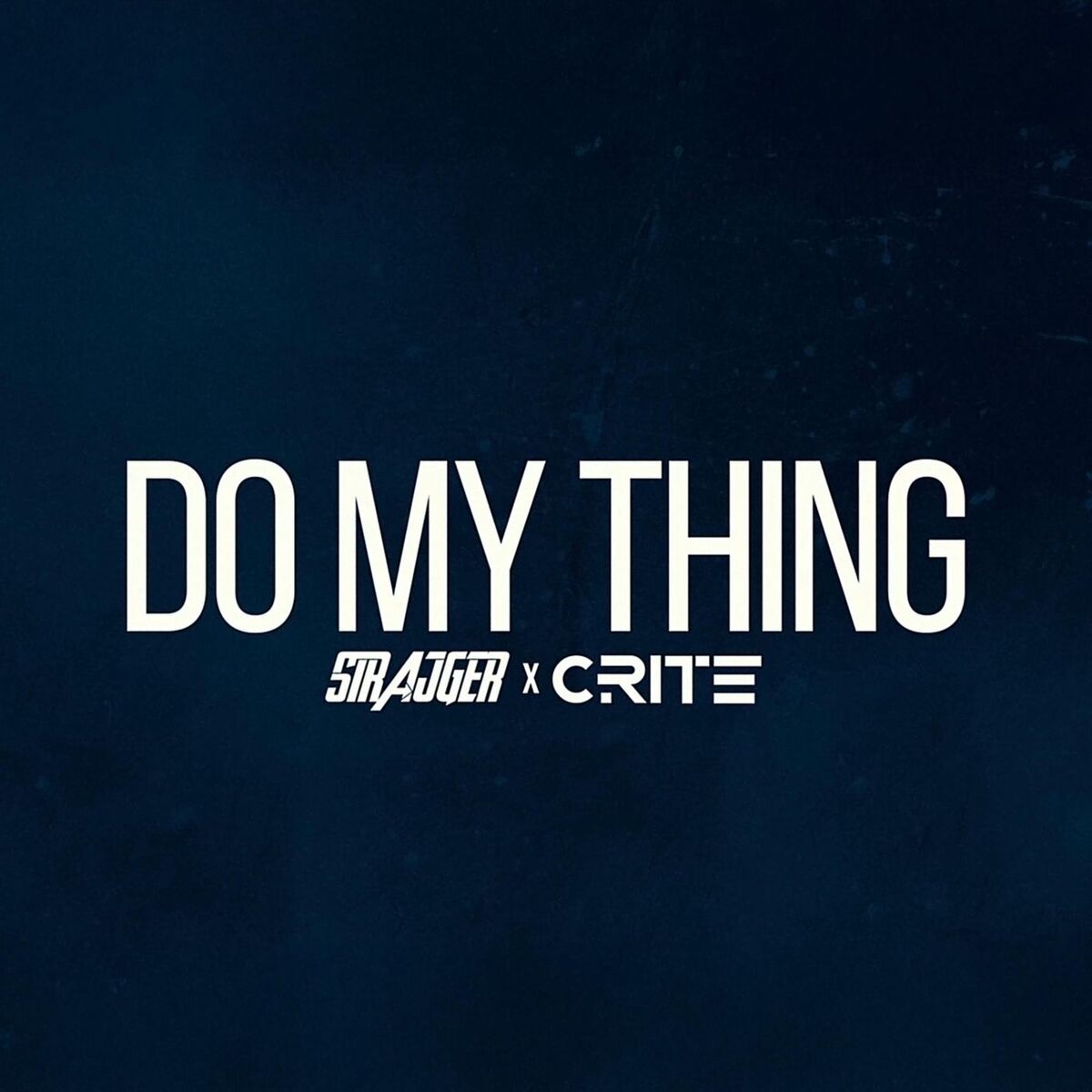 Album cover of DO MY THING