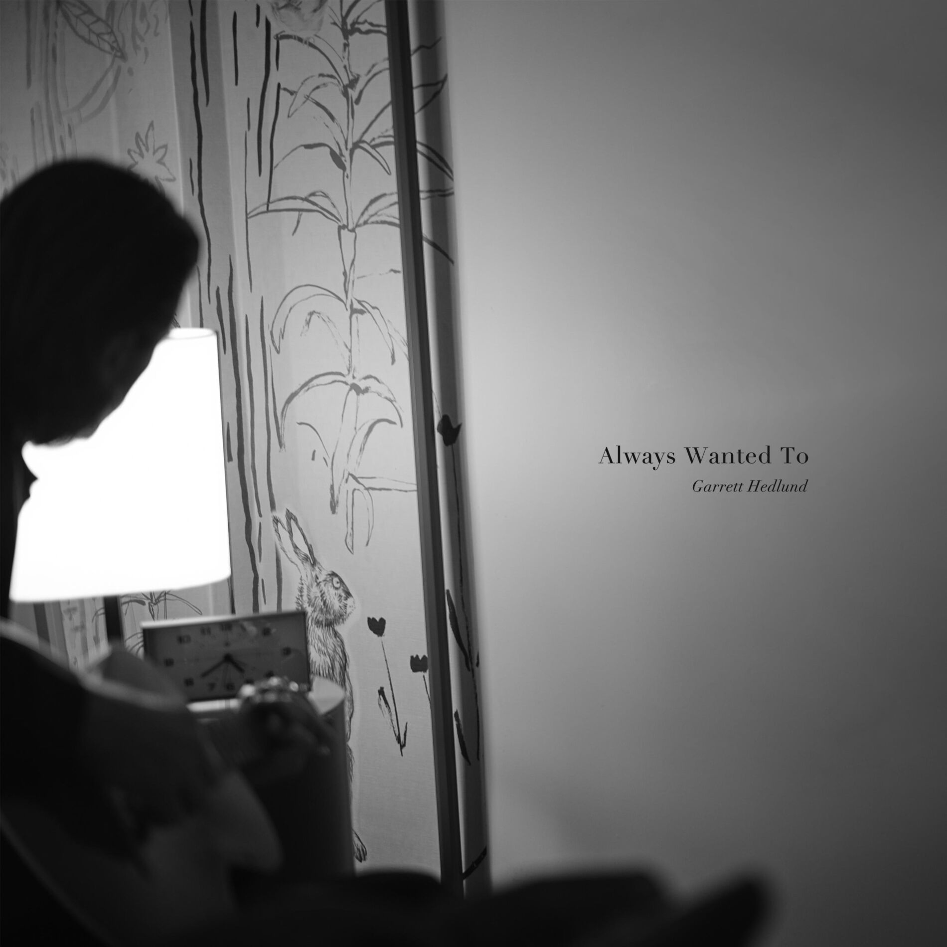 Album cover of Always Wanted To