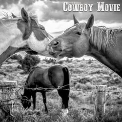 Cover of Cowboy Movie