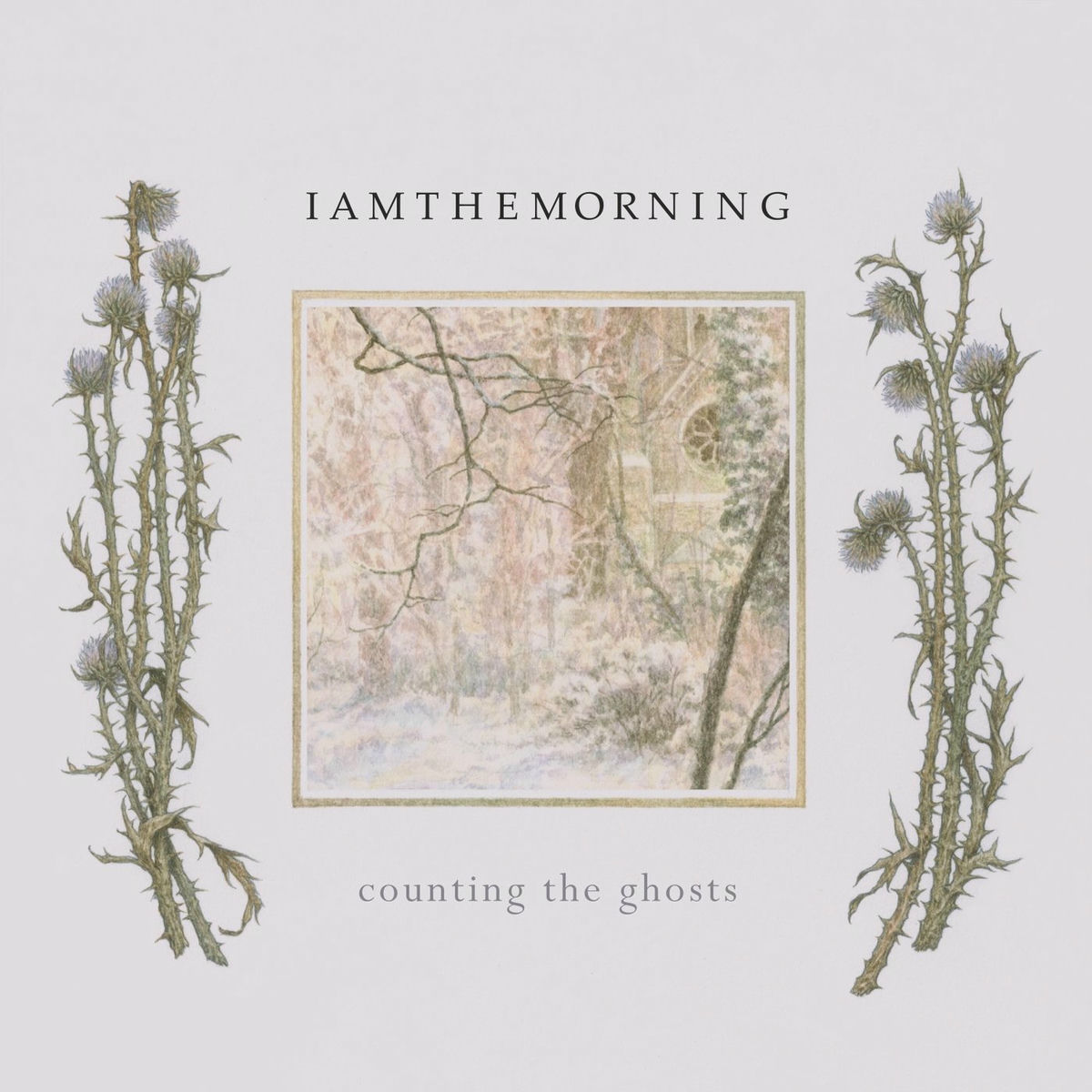 Album cover of Counting the Ghosts