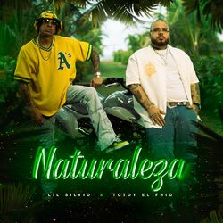 Cover of Naturaleza