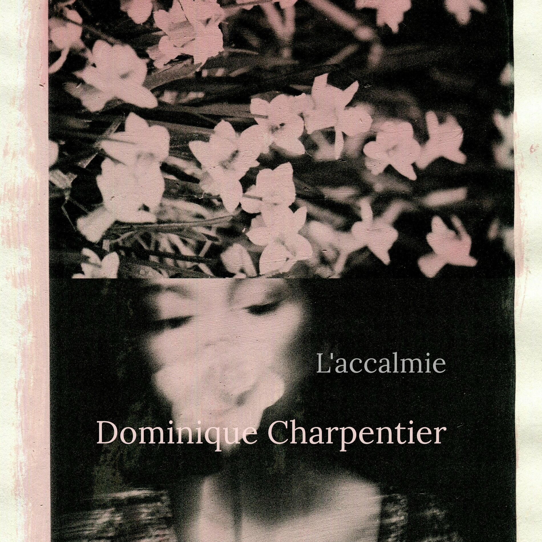 Album cover of L'accalmie