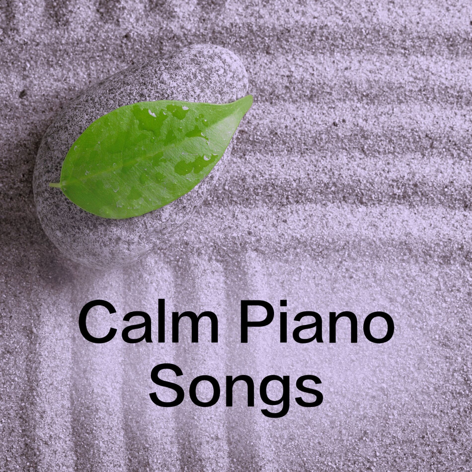 Album cover of Calm Piano Songs