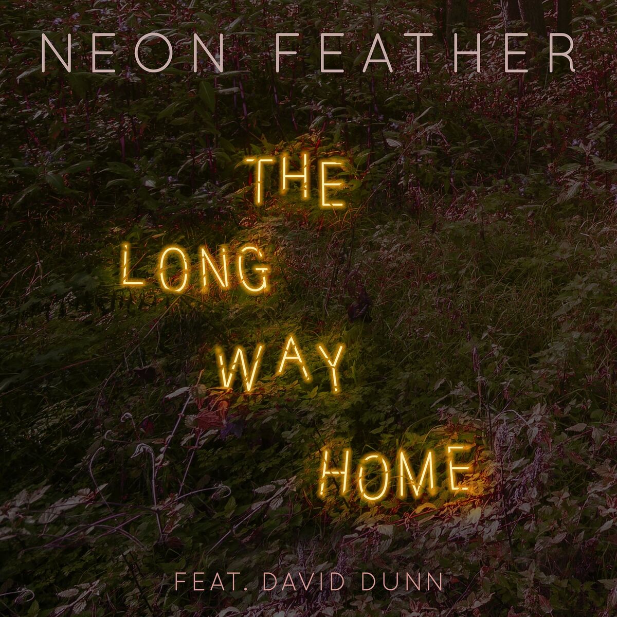 Album cover of The Long Way Home (feat. David Dunn)