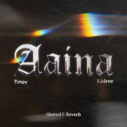 Cover of Aaina (Slowed & Reverb)
