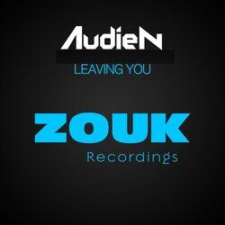 Cover of Leaving You