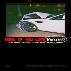 Cover of Text While Driving If You Want To Meet God!