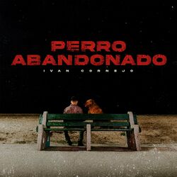 Cover of Perro Abandonado