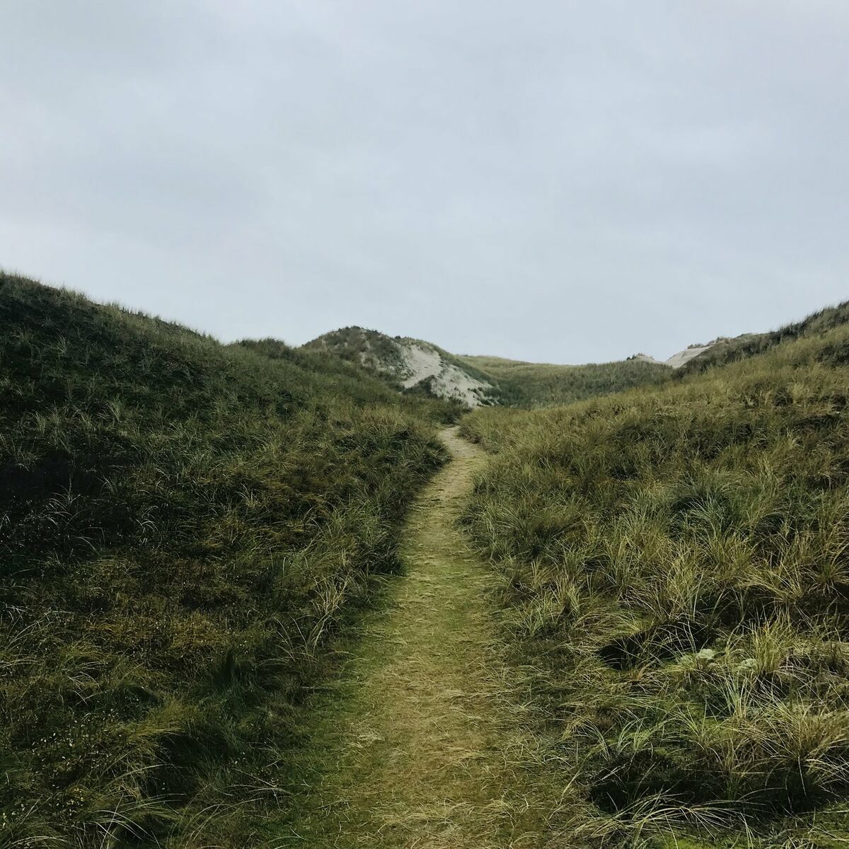 Album cover of another day