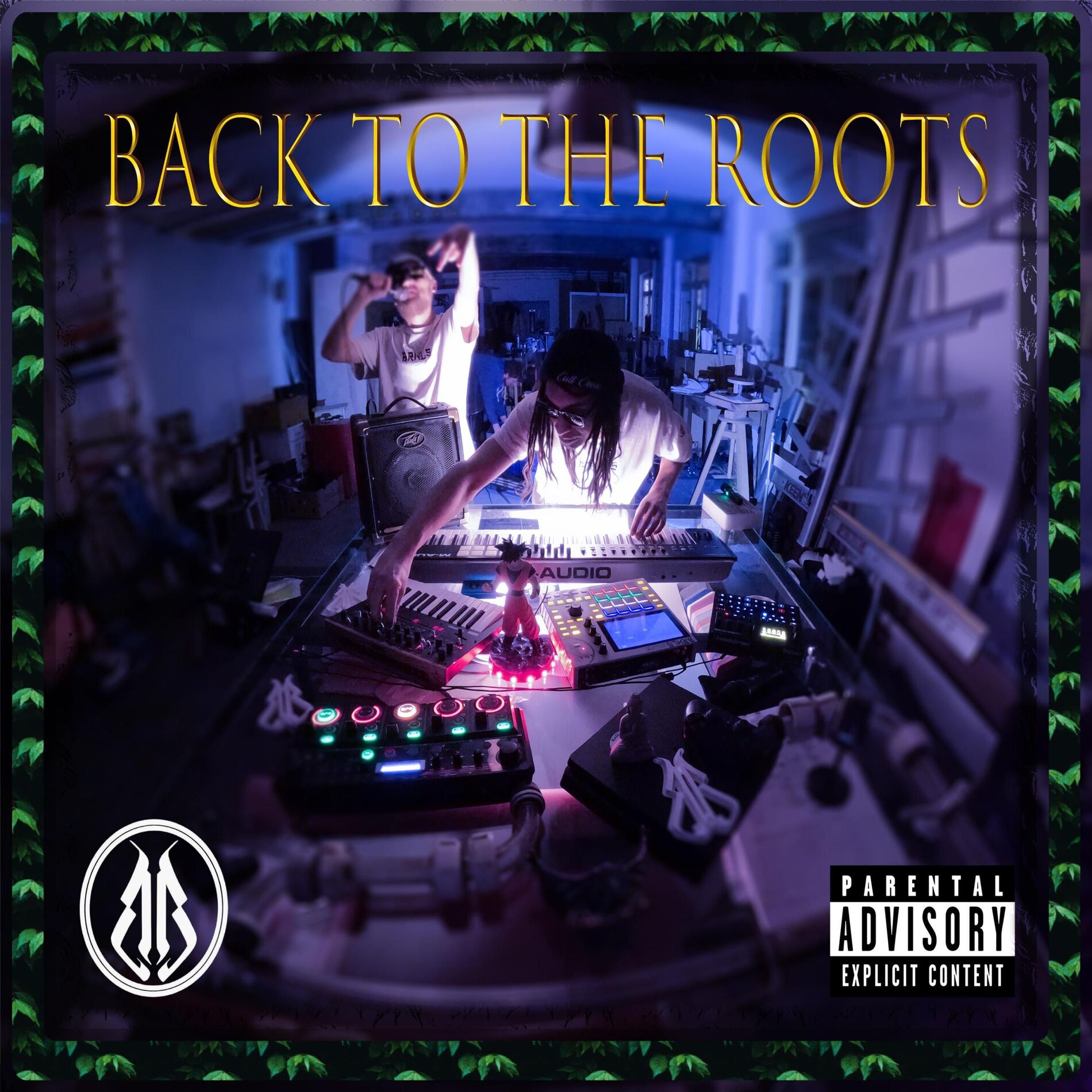 Album cover of BACK TO THE ROOTS