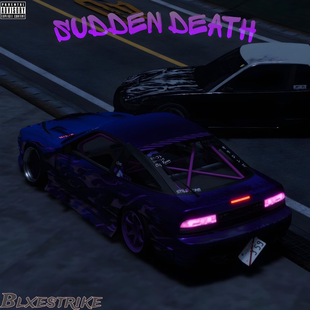 Picture of Sudden Death