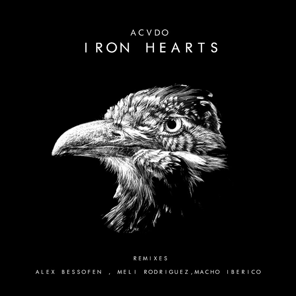 Picture of Iron Heart