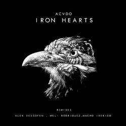 Cover of Iron Heart
