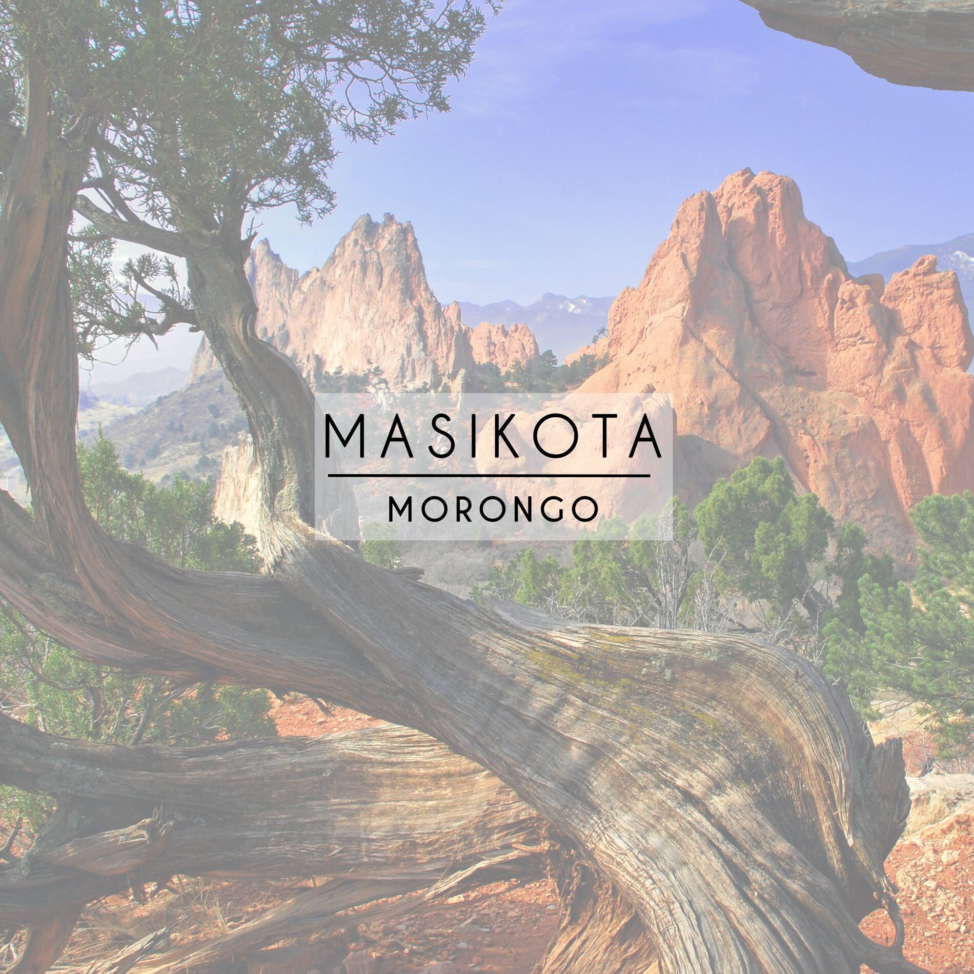 Album cover of Masikota