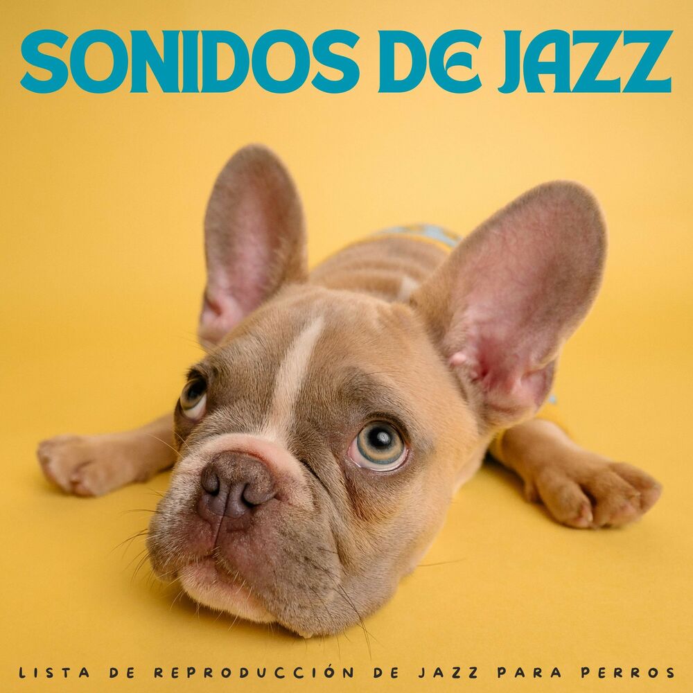 Picture of Sonidos De Jazz: Lista De Reproducción De Jazz Para Perros
