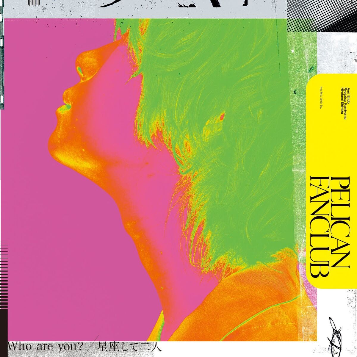 Album cover of Who are you? / Seizashite futari