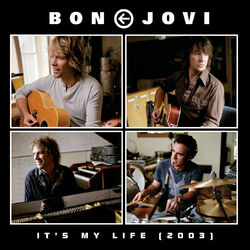 Cover of It's My Life (2003)