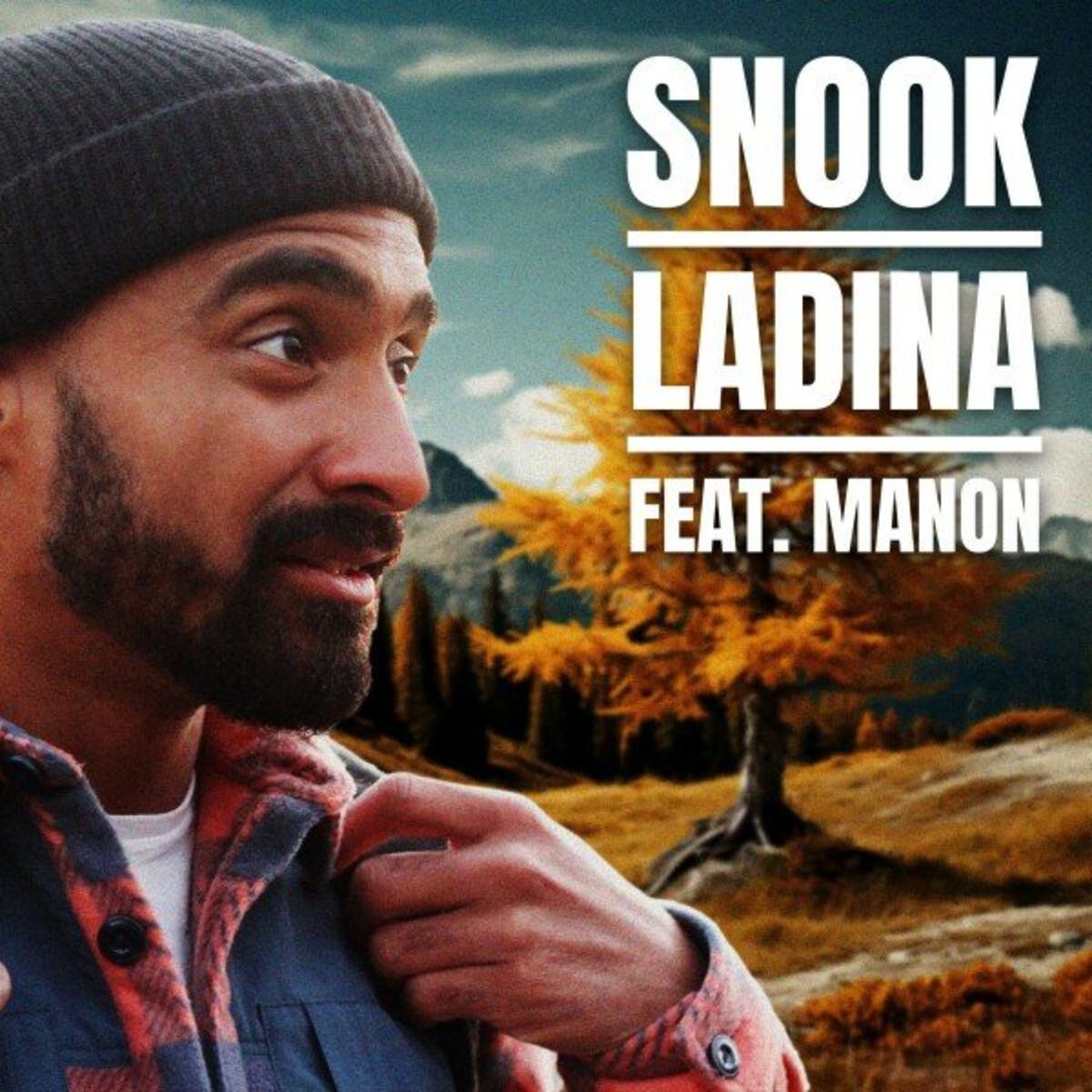 Album cover of Ladina