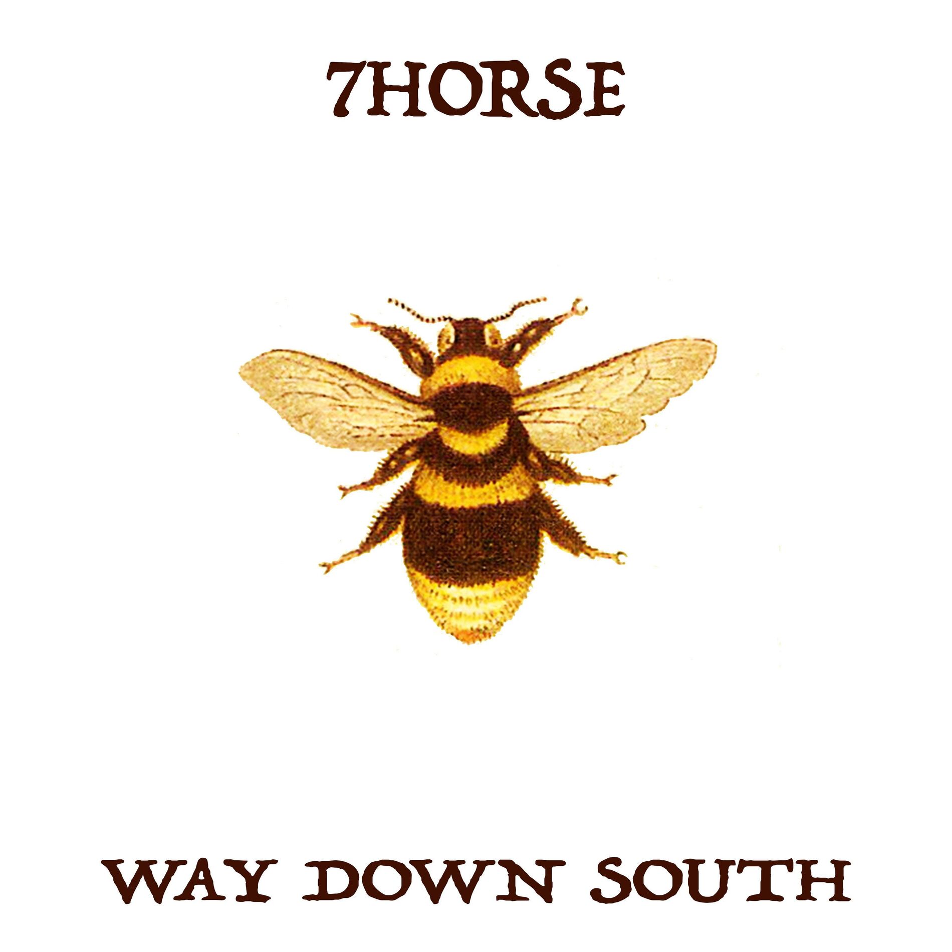 Album cover of Way Down South