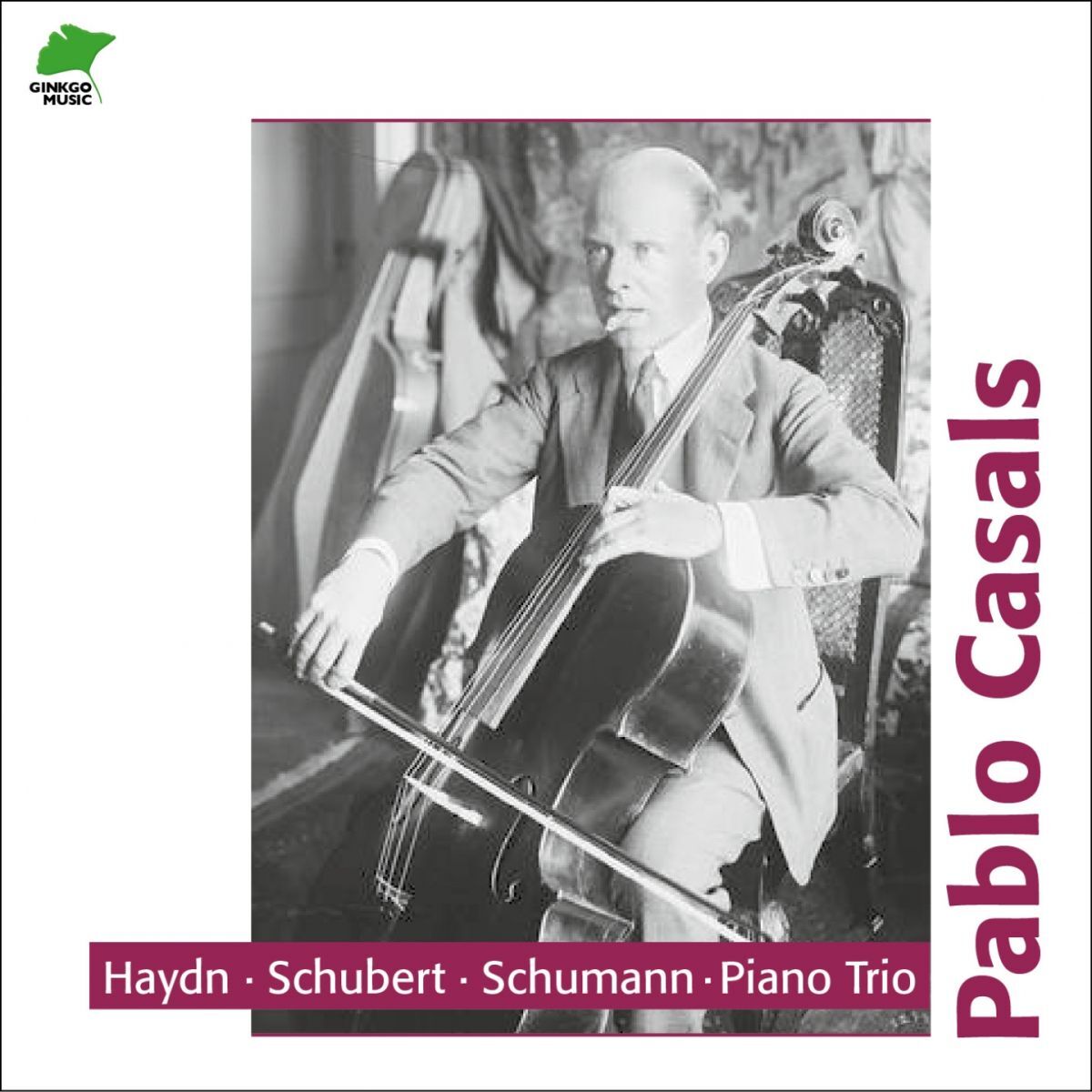 Album cover of Haydn, Schubert, Schumann: Piano Trios, Vol.1