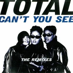 Cover of Can't You See (The Remixes)