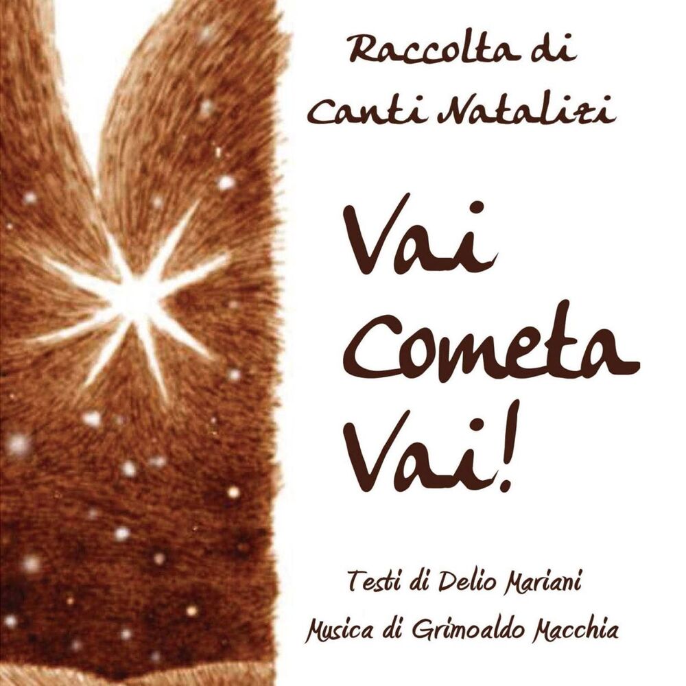 Picture of Vai cometa vai! (Raccolta di canti natalizi)