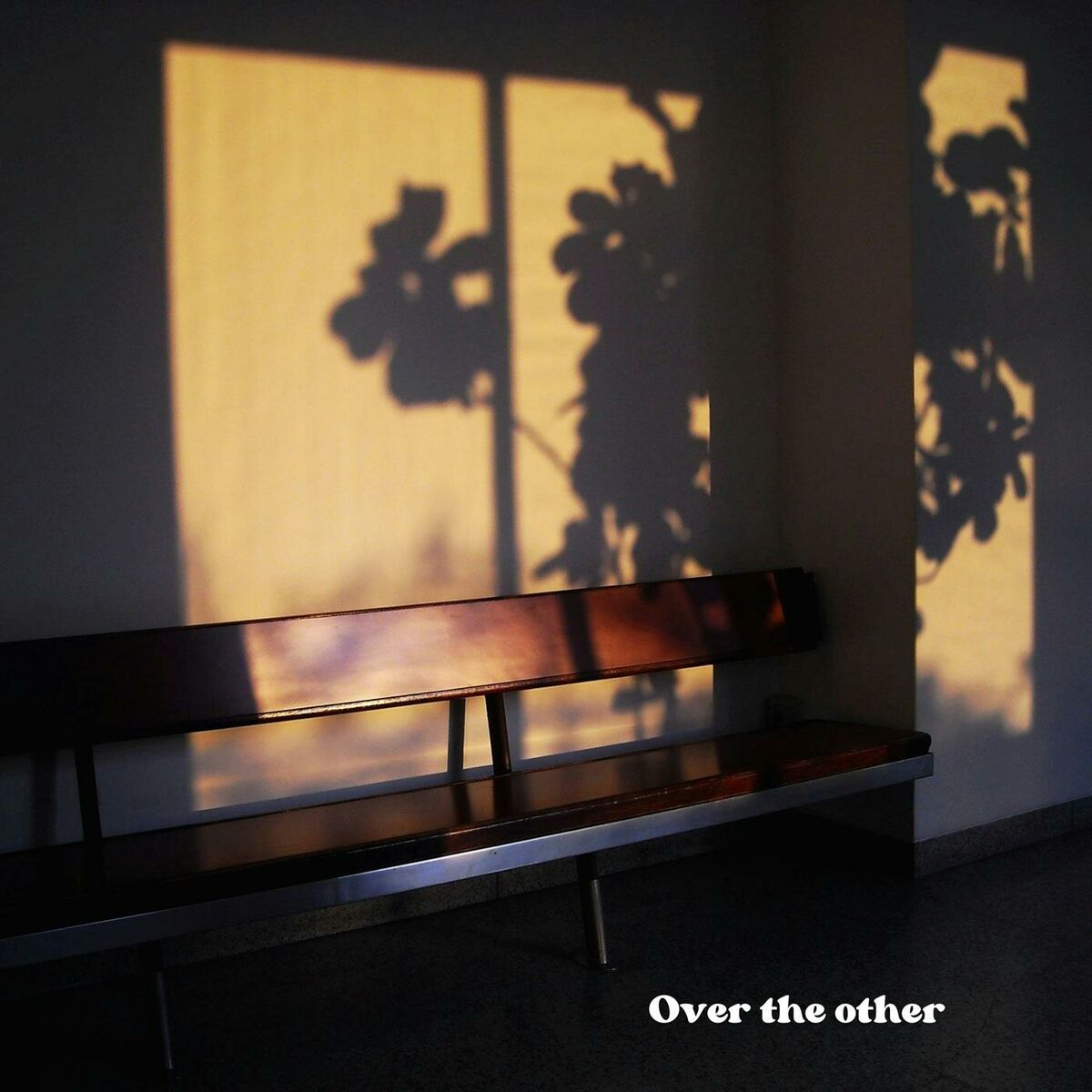 Album cover of Over the Other