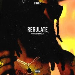 Cover of Regulate