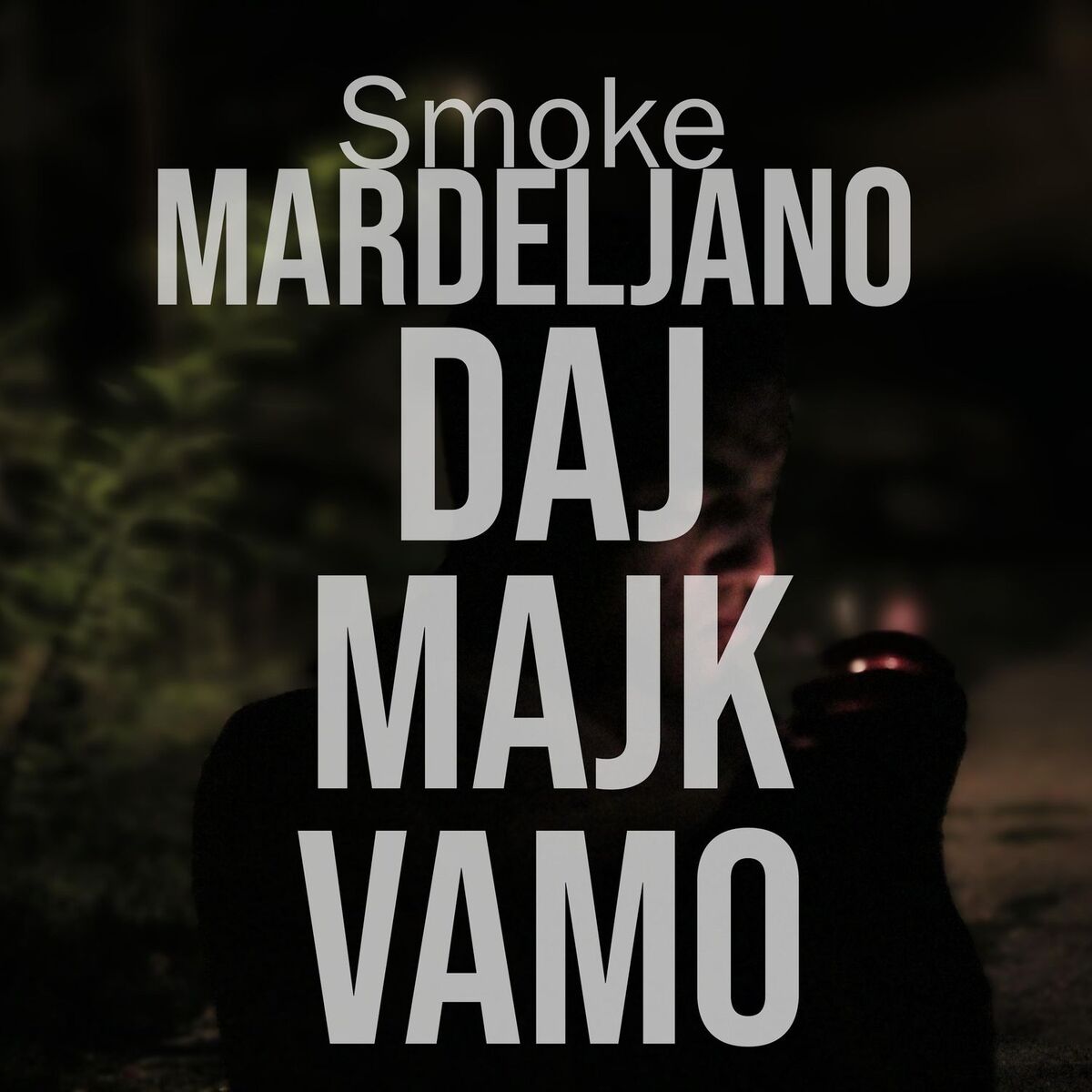 Album cover of Daj Majk Vamo