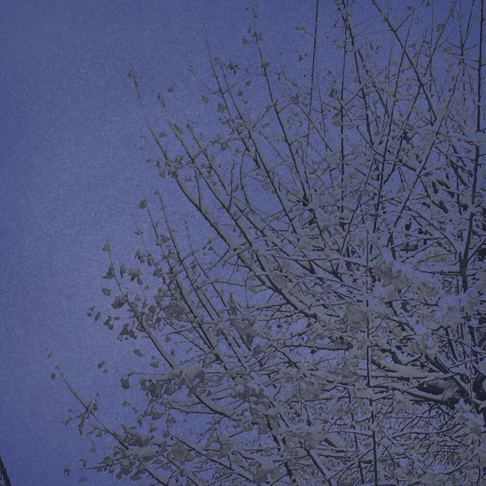 Picture of Dawn
