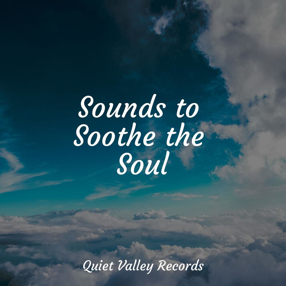 Picture of Sounds to Soothe the Soul