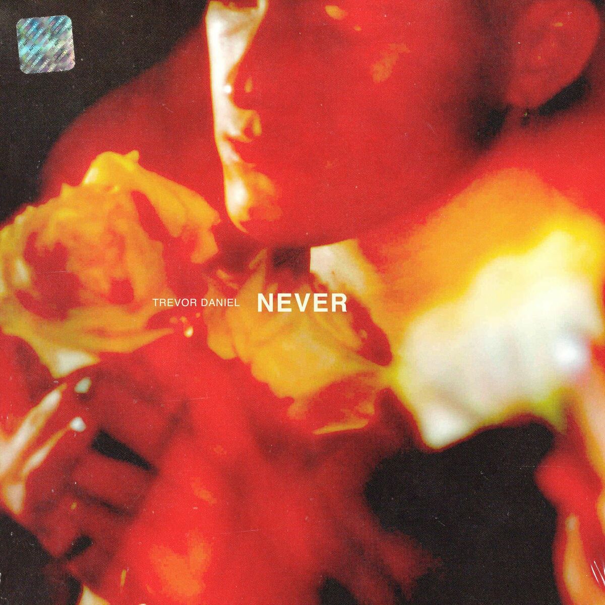 Album cover of Never