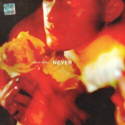Cover of Never